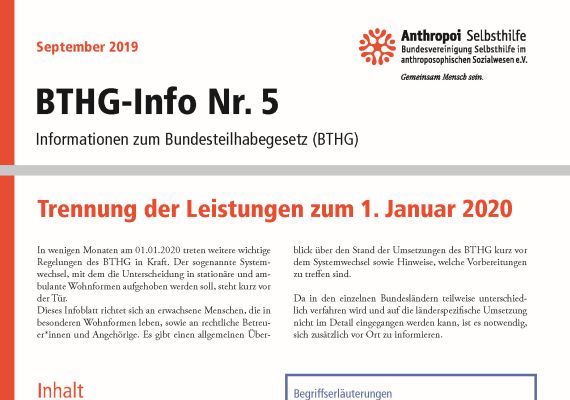 Titelseite des BTHG-Info Nr. 5 (nur obere Hälfte)